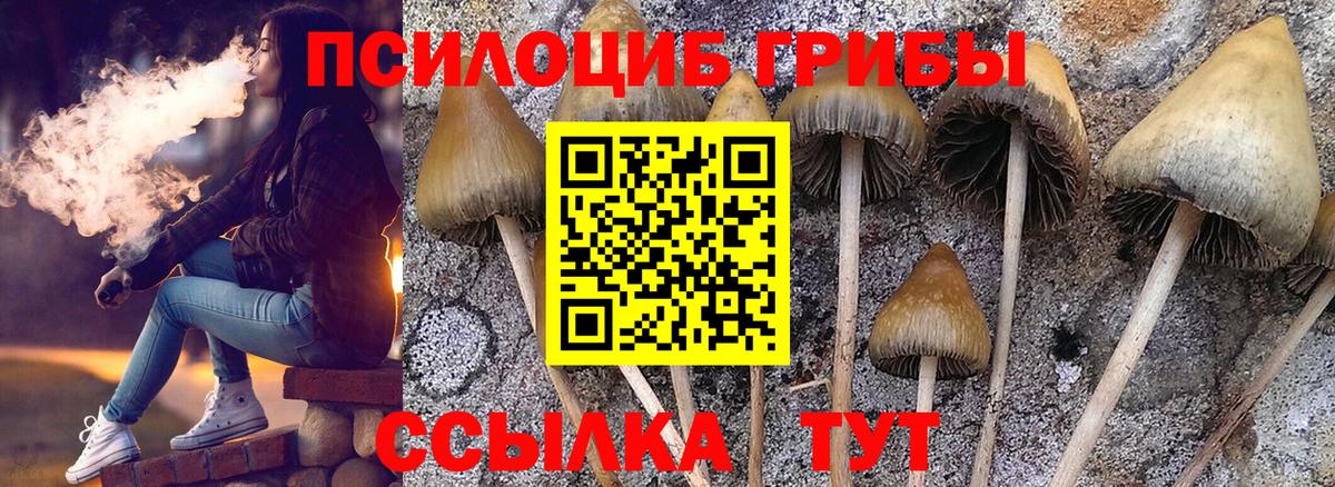 Псилоцибиновые грибы ЛСД Кизилюрт
